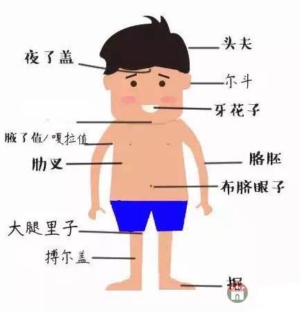 只有莒縣人才能看懂的人體構(gòu)造圖，好深?yuàn)W好羞澀