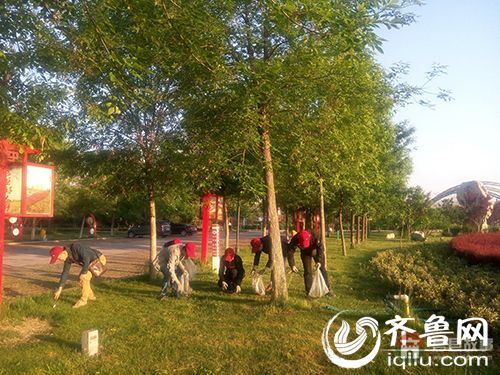 志愿者們在公園內撿拾垃圾