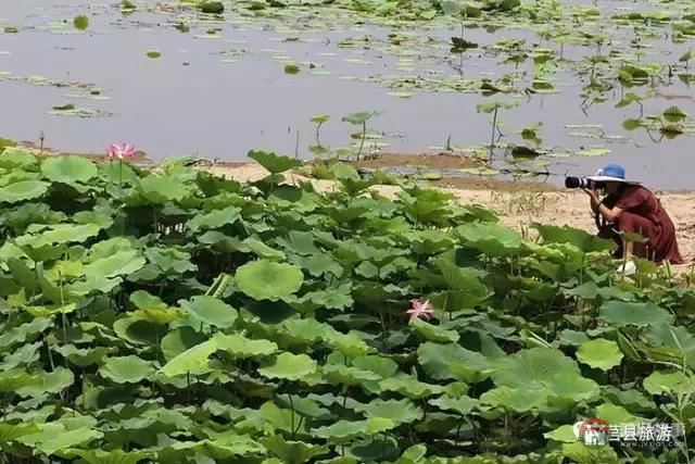 杭州的西湖，莒縣的西湖煙雨