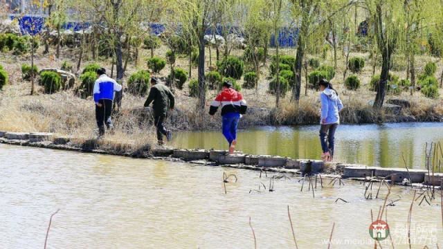 莒縣第三屆玉蘭花節(jié)暨桑園鎮(zhèn)鄉(xiāng)村旅游節(jié)開幕