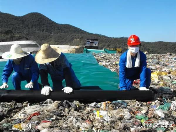 “逼瘋”上海人的垃圾分類背后，藏著中國(guó)人不知道的殘忍真相