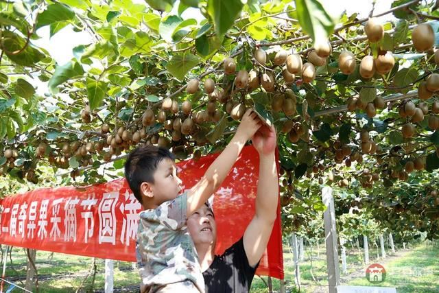 國慶假期莒縣最新“旅行情報圖”，為你泄密哪里“人從眾”